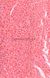 Бисер китайский крупный 25г, светло-розовый, прозрачный, окрашенный внутри, 4мм, код K-322. К-322/25 фото 1